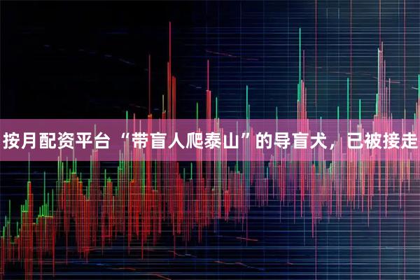 按月配资平台 “带盲人爬泰山”的导盲犬，已被接走