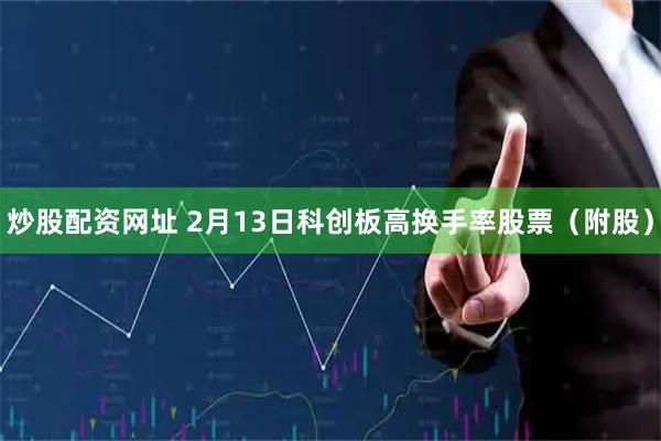炒股配资网址 2月13日科创板高换手率股票（附股）